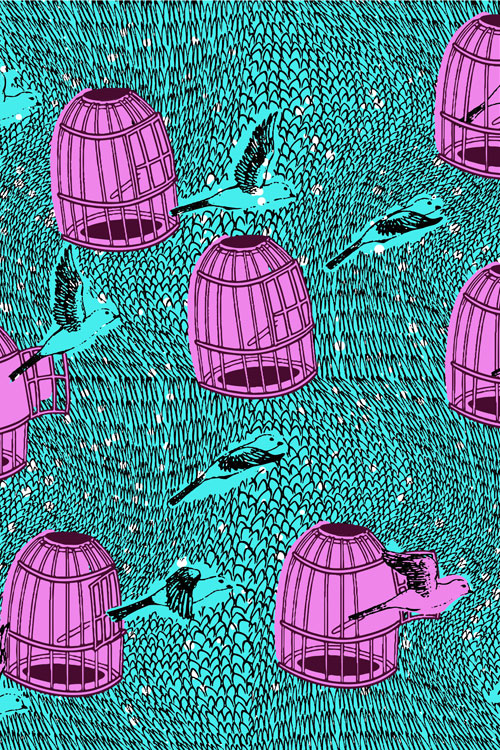 birdcage