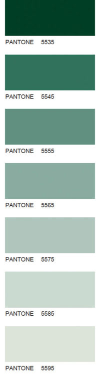 Pantone-107
