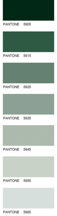 Pantone-109