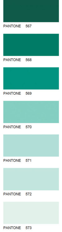 Pantone-110