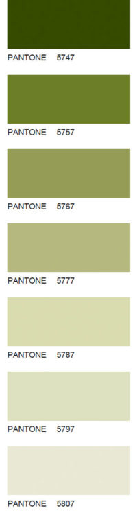Pantone-113