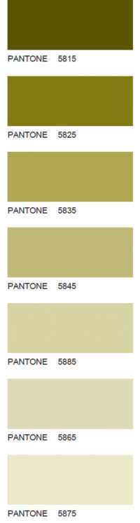Pantone-115
