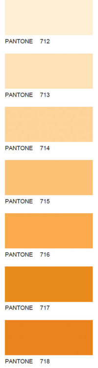 Pantone-132
