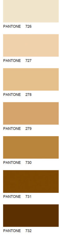 Pantone-134