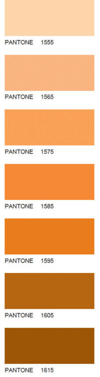 Pantone-14
