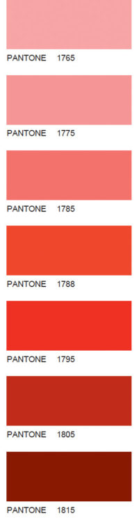 Pantone-19