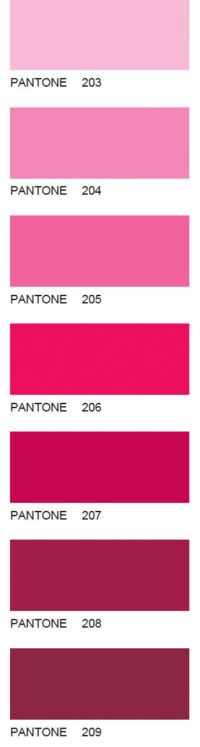 Pantone-25