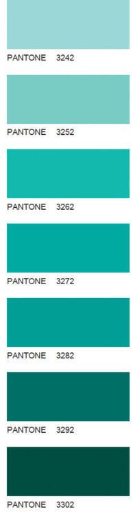Pantone-55