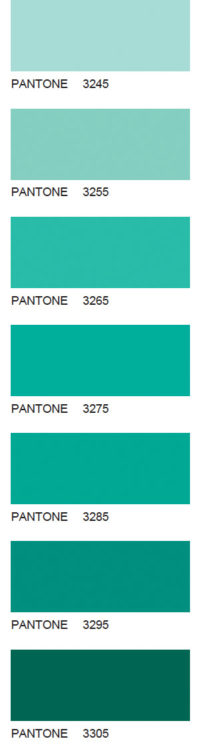 Pantone-56
