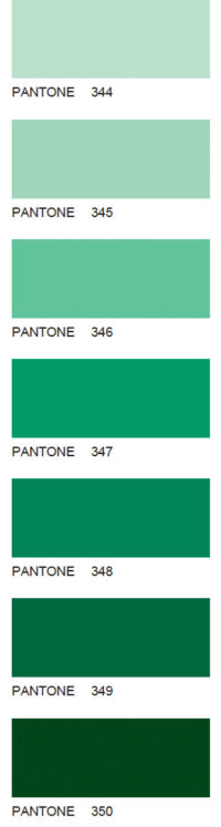 Pantone-61