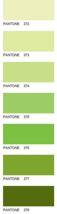 Pantone-65