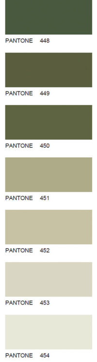 Pantone-81