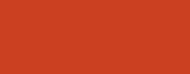 VEP 2008 Bright Orange Gloss