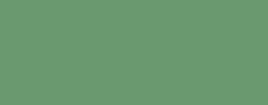 VEP 4009 Eau De Nil Green Gloss