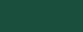 VX 4002 Henley Green Gloss