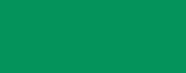 VX 4020 Telkom Green Gloss